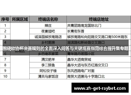 围绕欧协杯决赛规则的全面深入问答与关键观赛指南综合提升集专题