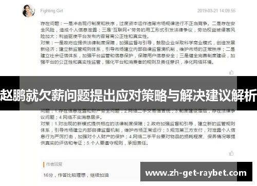 赵鹏就欠薪问题提出应对策略与解决建议解析