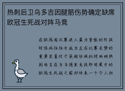 热刺后卫乌多吉因腿筋伤势确定缺席欧冠生死战对阵马竞